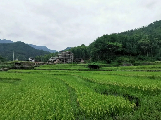  It took 3 friends to go back to the village to build a house, which cost 12 million yuan in 5 years