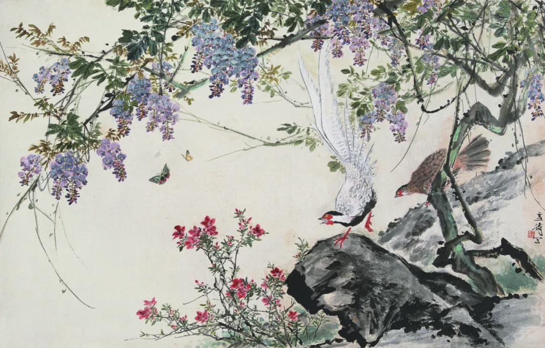 紫藤白鹇 王雪涛 122.5cm×191.5cm 纸本设色 无年款