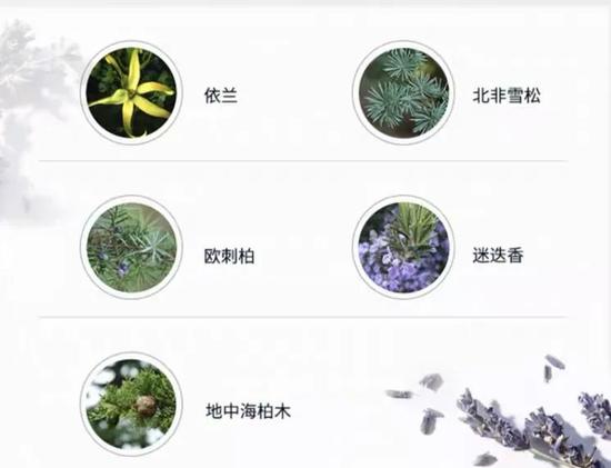 脱发?毛糙?发黄?这篇文章都能解决-幽兰花香 脱发?毛糙?发黄?这篇文章都能解决-幽兰花香