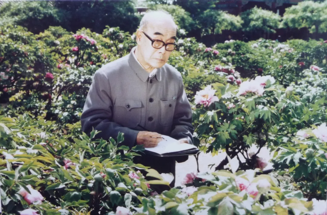1979年参与拍摄纪录片《王雪涛的画》,在景山公园写生
