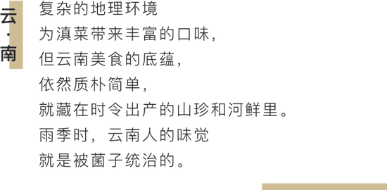 汪曾祺念念不忘 云南的菌子里藏着雨季的鲜