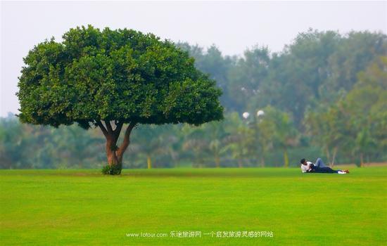 印度的高种姓的人口_印度高种姓美女(2)