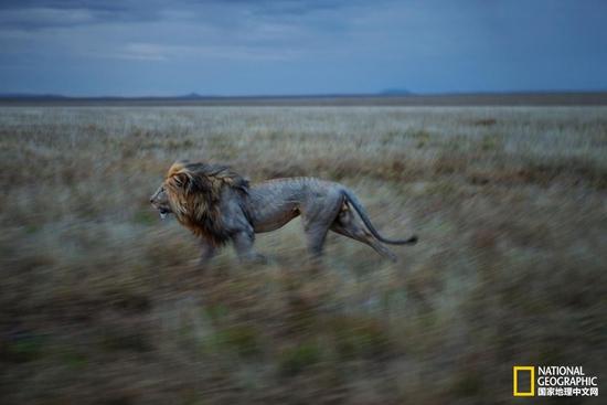 第六次物种大灭绝 人类能幸存吗?