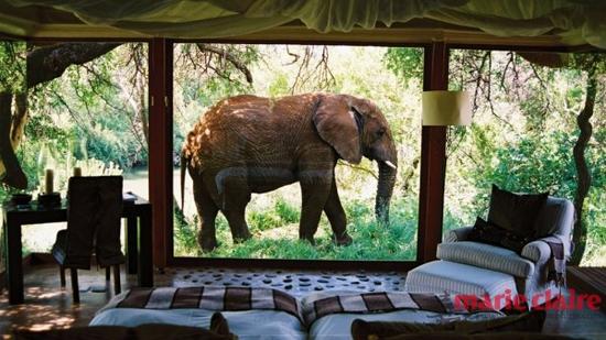 Makanyane Safari Lodge