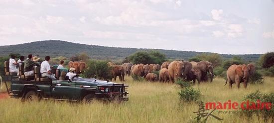 Makanyane Safari Lodge