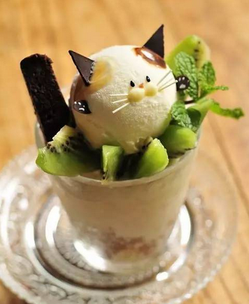 ������Щ�Ҵ�ı���� ��ĺó���