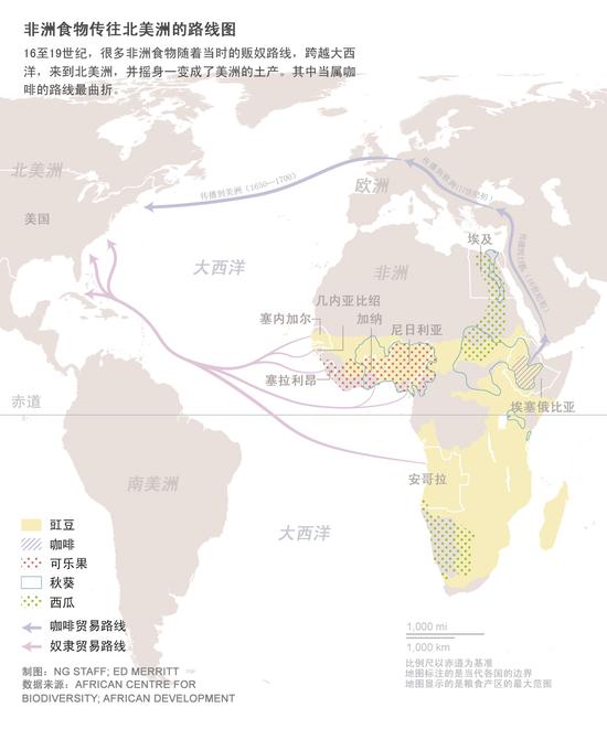 你知道吗？这些食物其实来自非洲