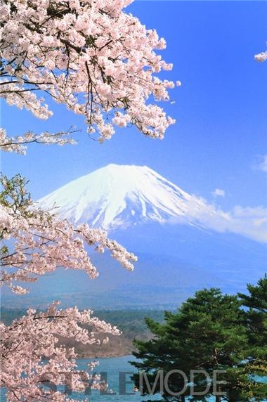 这个冬天释放身心！来箱根泡温泉看富士山