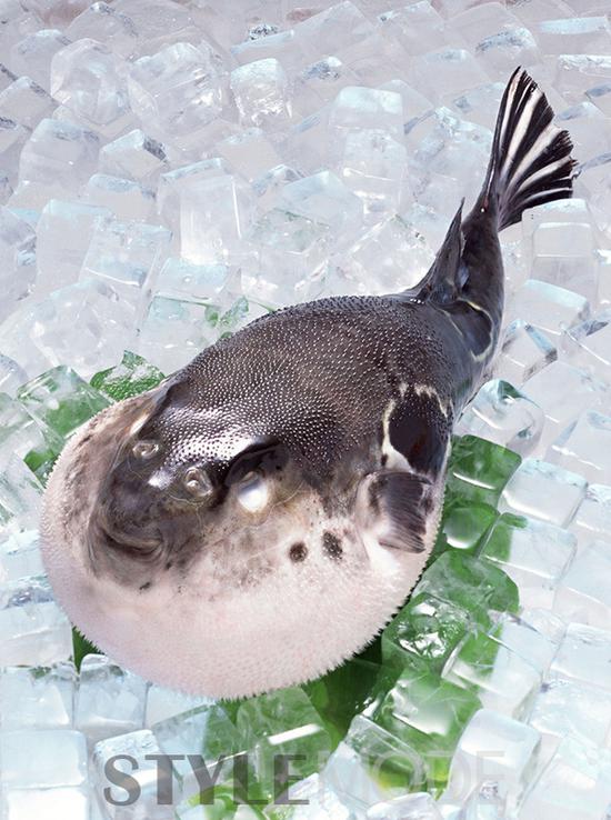 全球关于食物的8大之“最” 真是大开眼界! 全球关于食物的8大之“最” 真是大开眼界!