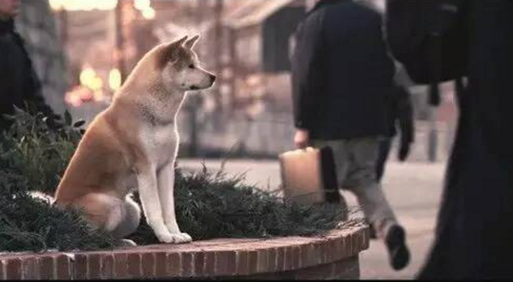 宝贝儿,我手上提的O bag,就是你随处可安的家