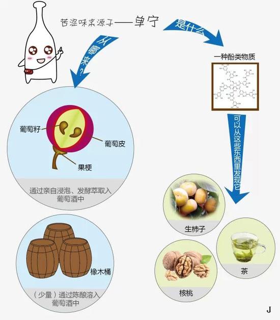 哪些特征暗示你的葡萄酒适合陈年?