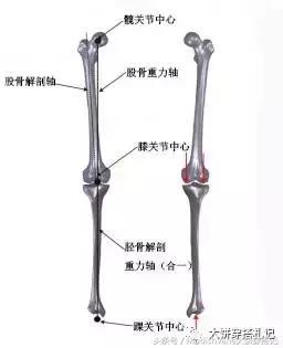 露腿季节快来临,这里有一发美腿修炼术