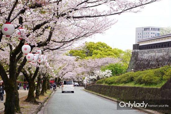 京都