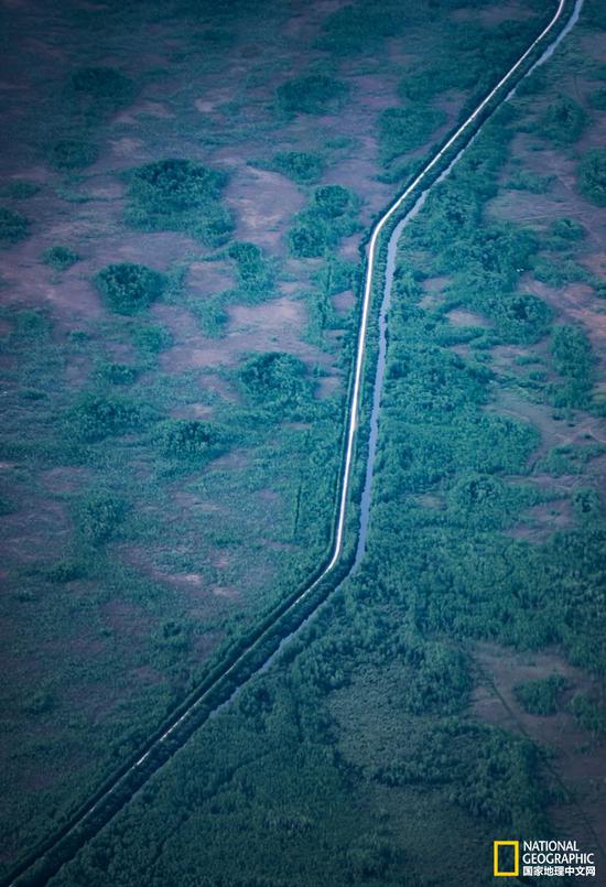 蜿蜒于沼泽地中的公路