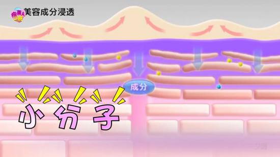 首先要严肃的告诉你们: