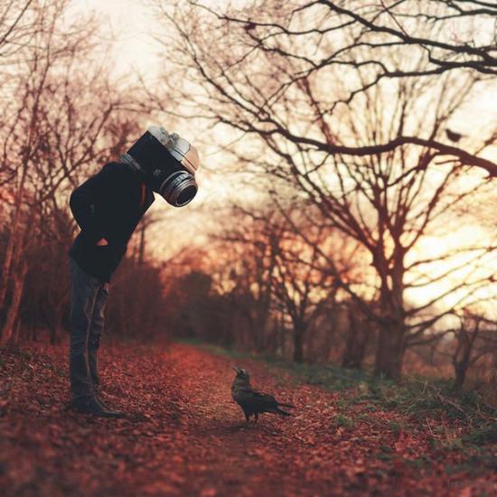 photo by Joel Robison