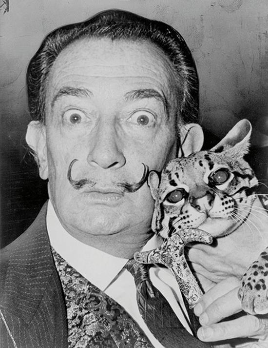 (萨尔瓦多·达利,Salvador Dalí)
