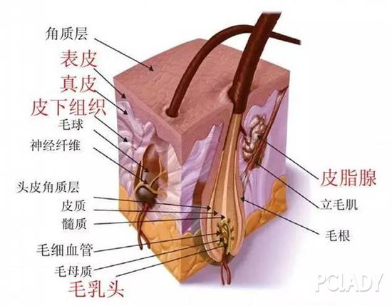 我也要一头秀发,来个全智贤撩发杀