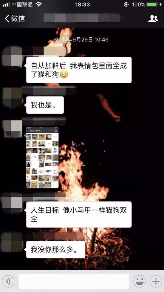 所以说，猫和狗占领地球不是毫无道理的。聊着聊着突然尴尬了，甩过去一个猫星人，让我们我们肩并着肩手牵着手一起愉快的吸猫吧！