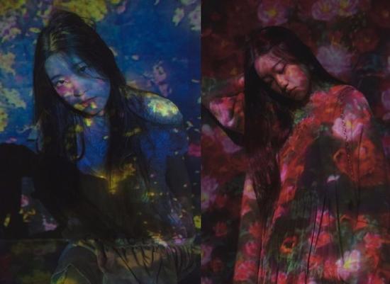 （@沫沫子Akiwa_Lay）