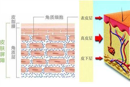 所以基础的补水孕妈也无需担心，完全可以放心使用。