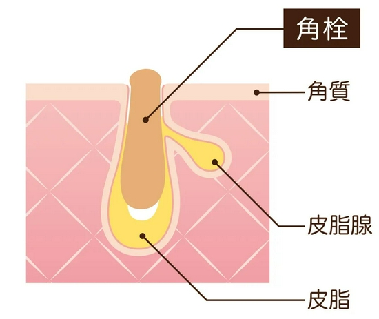 图源:图虫网