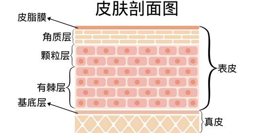 搞清这些问题 秋冬保湿指哪打哪!-幽兰花香 搞清这些问题 秋冬保湿指哪打哪!-幽兰花香