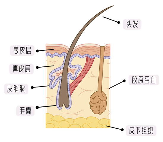 素材来源于视觉中国;制作于Canva