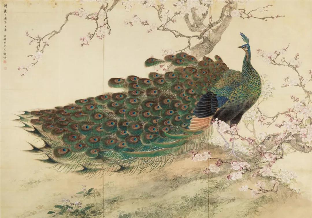 《孔雀桃花》 田世光 136×193 cm 绢本设色 1959年 北京画院藏