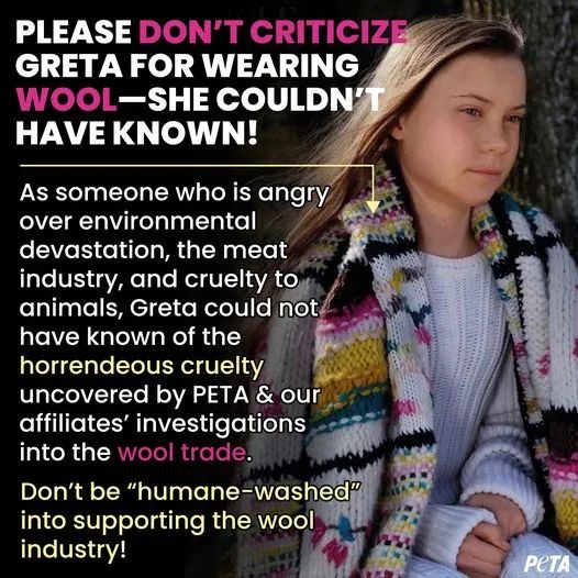 Vogue北欧创刊封面环保少女被骂，原因一件羊毛毛衣