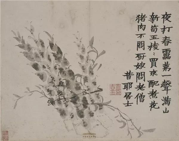 清代·金农,《花卉蔬果册》之新笋,中国国家博物馆藏,曾于“瑞彩平安——2020新春展”中展出。