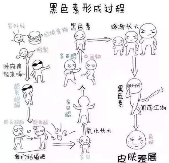 图源网络