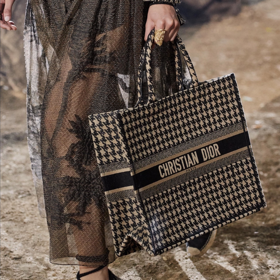 Dior Book Tote