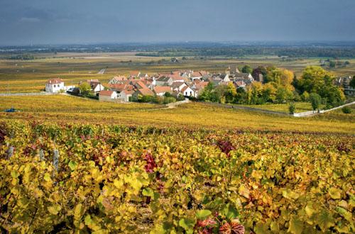 图片来源：www.bourgogne-wines.com