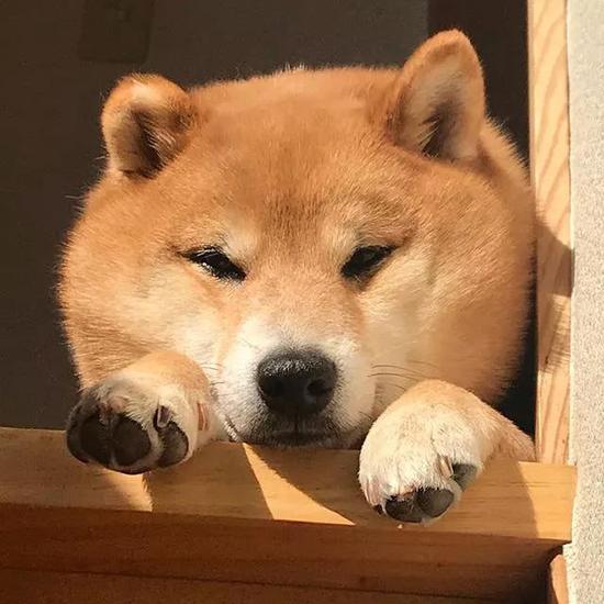 圖片:ins@miyaashi