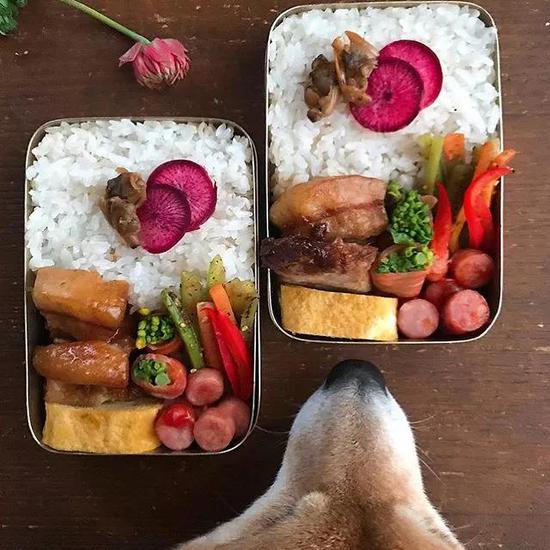 發現主人沒啥動靜