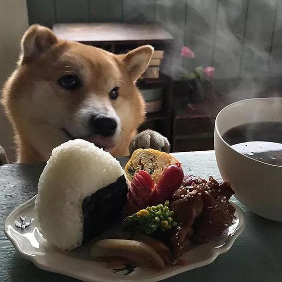 瞪眼、眨眼、傻笑、吐舌頭
