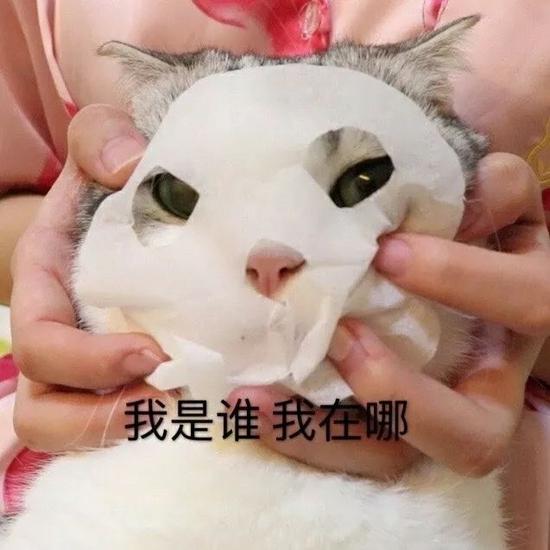 年纪轻轻,精致穷我错了吗?