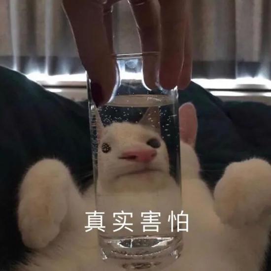 沙雕搞怪文案超长,沙雕搞怪文案超长句子