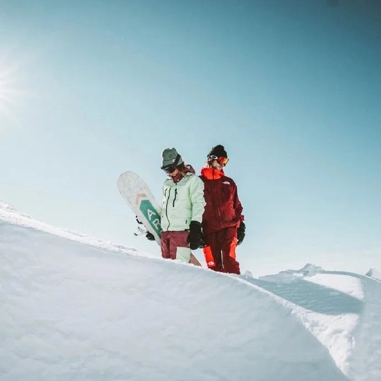 The North Face Freeride系列