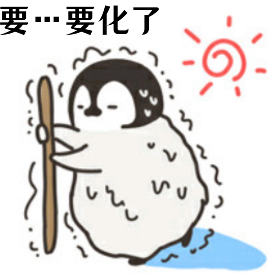 等一下!这么热的天带上它再出门!