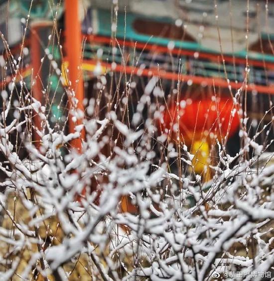北京下雪了 去不了故宫还可以到这些地方赏雪