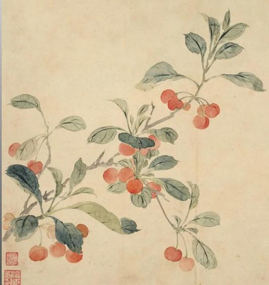 清 恽寿平 樱桃图册(局部)