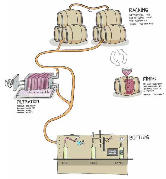 图片来源：Wine Folly