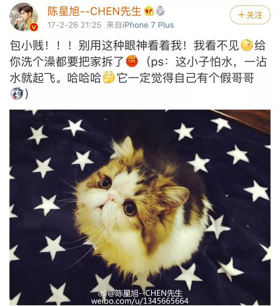 肖战胡歌李现 来领取你的猫系男友吧