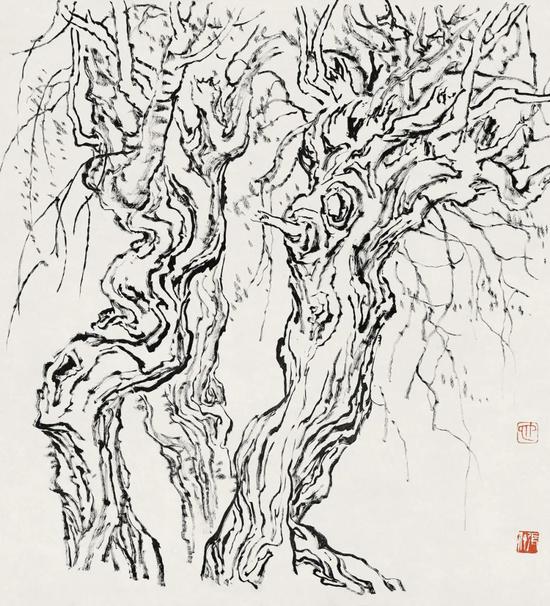 张仃《胡杨》  纸本焦墨  38厘米×35厘米  1981年