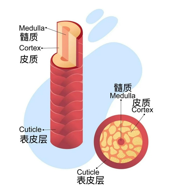 图源视觉中国,制作来自canva