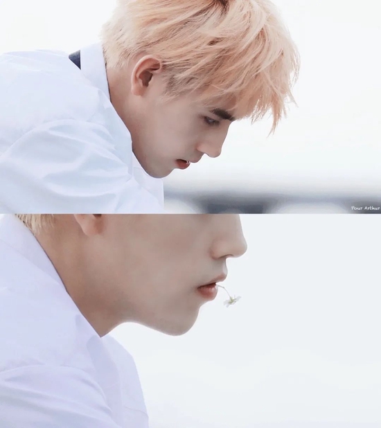 图源:Pour_Arthur