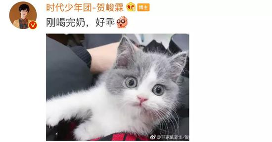 肖战胡歌李现 来领取你的猫系男友吧