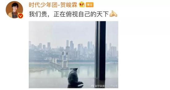 肖战胡歌李现 来领取你的猫系男友吧